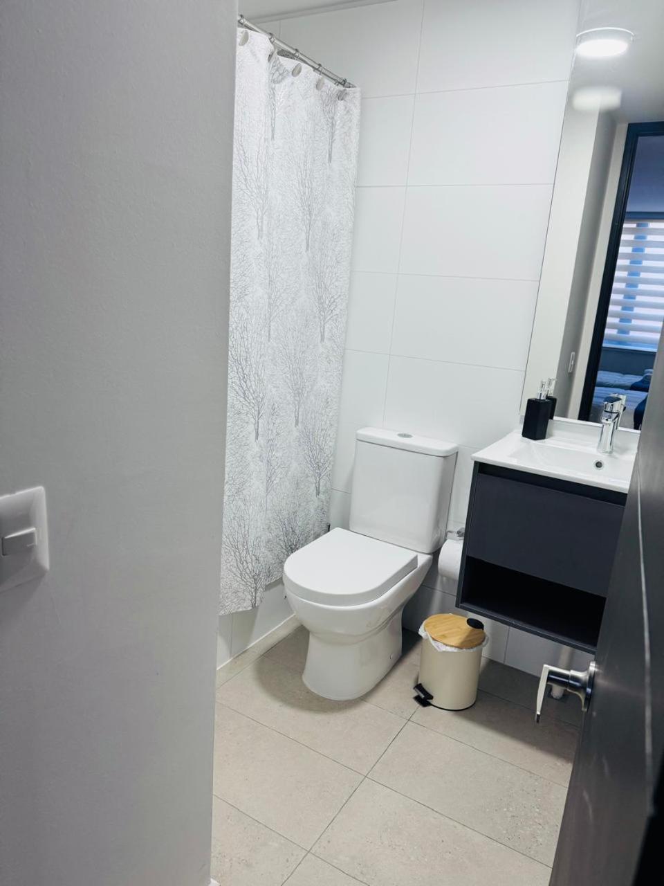 Painestone Apartment Puerto Natales